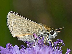 Foto: Martin Bjerg